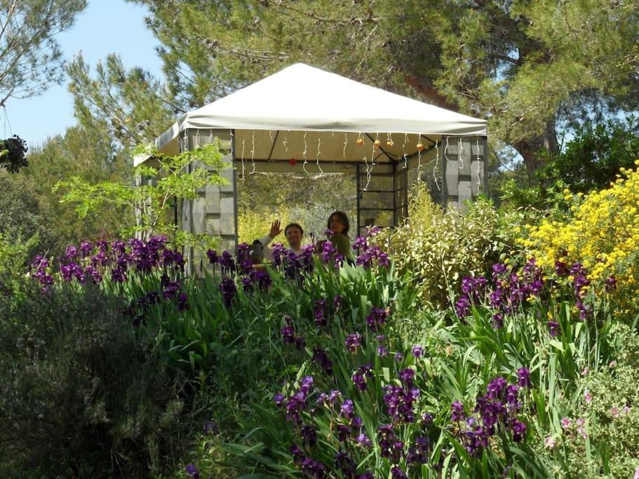 L'Oliveraie En Provence 랑벡 외부 사진